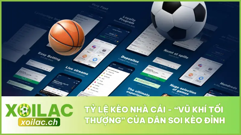 Tỷ Lệ Kèo Nhà Cái - “Vũ Khí Tối Thượng” Của Dân Soi Kèo Đỉnh
